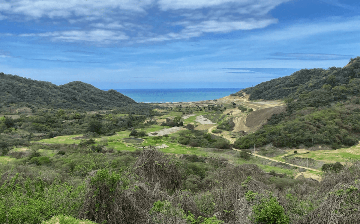 beautiful view of property