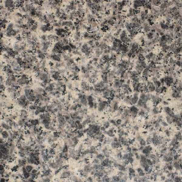 Zebra Granite